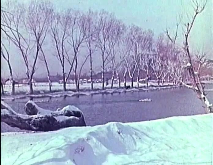 1963年，导演谢铁骊拍了《早春二月》，因内容问题，被雪藏多年