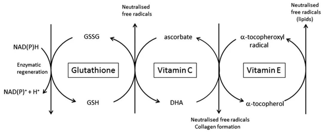 维生素E有啥用？遍地假货的VE乳怎么买才不踩雷？