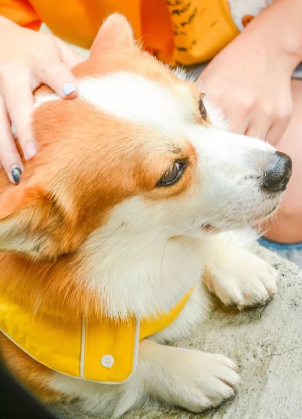 10㎡的老广味道面馆,小老板迷倒无数人...