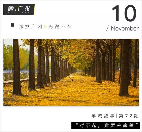 对不起,这个秋天我要去韶关南雄!