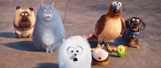 偷看了同事的购物车，原来你们都是这样的剁手党