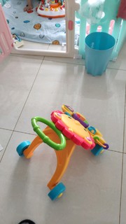 大妞新玩具-费雪助步车