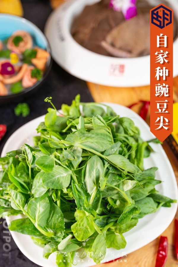 十年经典水牛毛肚,长沙人必须知道这家毛肚火锅的姓名!