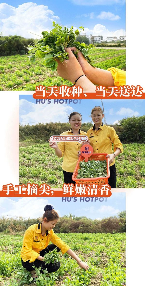 十年经典水牛毛肚,长沙人必须知道这家毛肚火锅的姓名!
