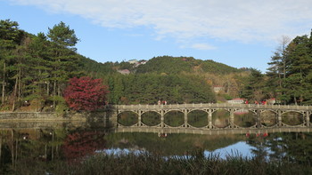 庐山印象 篇二：秋游如琴湖，细赏红枫树 