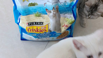 为猫主双11囤货-京东JOY定制款 喜跃(Friskies)成猫猫粮 海鲜味3.5kg