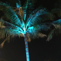 南行南游记 篇二：越南富国岛，沙滩的日日夜夜