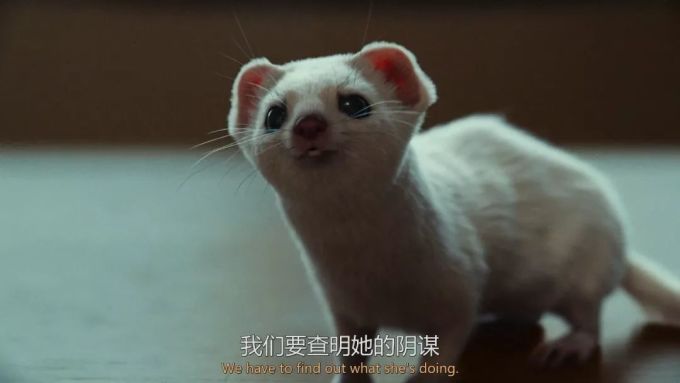 这部爆款英剧你可能不会喜欢