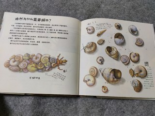 绘本《看！蜗牛！》