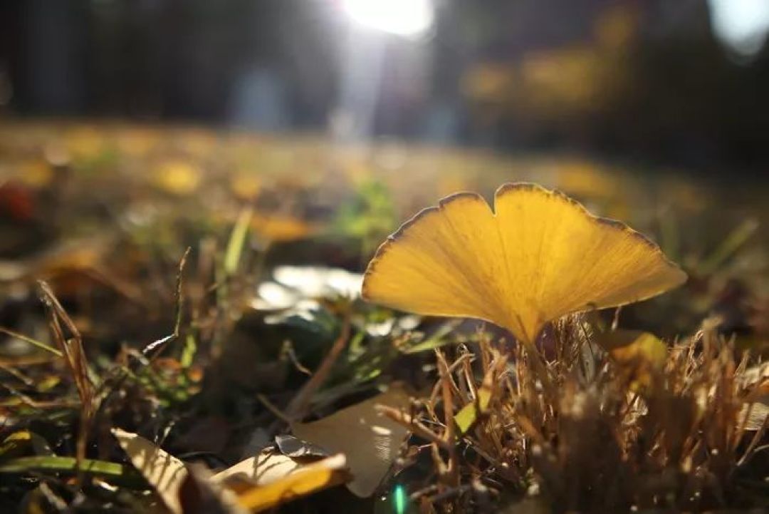 EOS M首支大光圈广角头,适马16mm f/1.4 DC DN评测