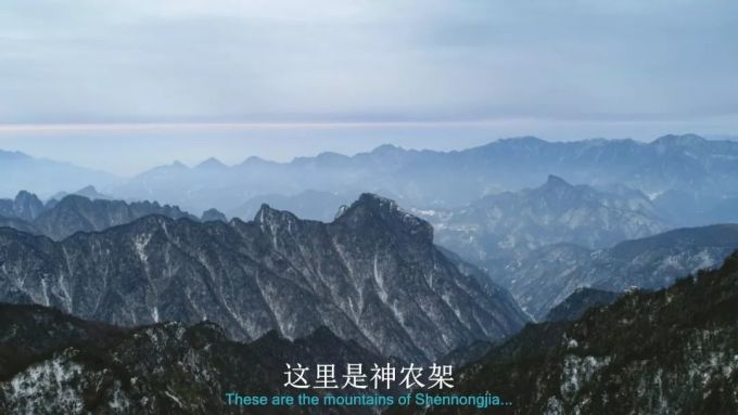 BBC又出神作,简直是精神食粮