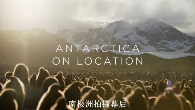 BBC又出神作,简直是精神食粮