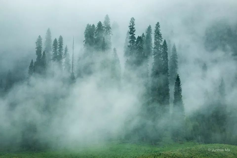 摄影师请就位 | 他们镜头下的世界好美，全部都想去！