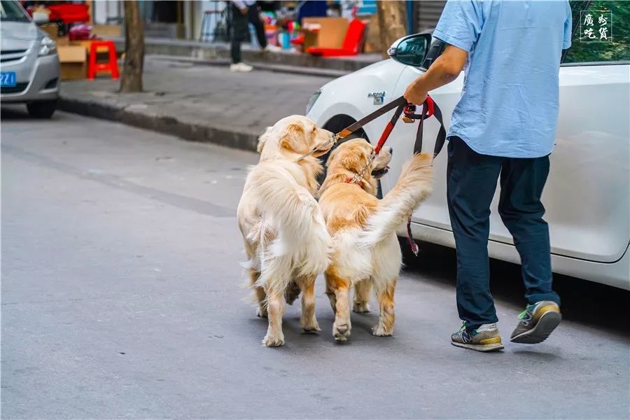 被誉为西华路升级版，荔湾这条街，究竟有多好吃？