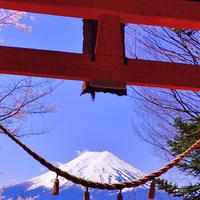 日本旅游注意事项！京都多景点禁止拍照，违者罚款
