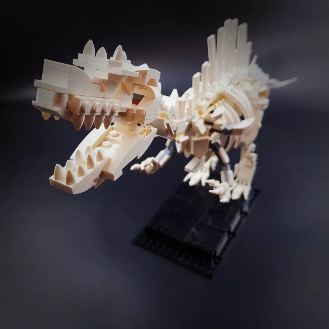 乐高21320恐龙化石重构moc比赛优秀作品欣赏!