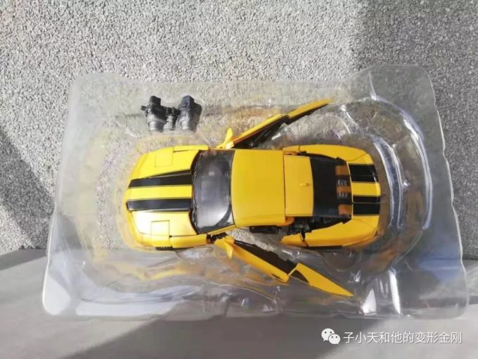 【评玩具】子小天:岑测评《变形金刚 MPM03大黄蜂,只有它称得上是真正的MPM!》