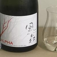 今日好酒：老字号酿造小清新清酒