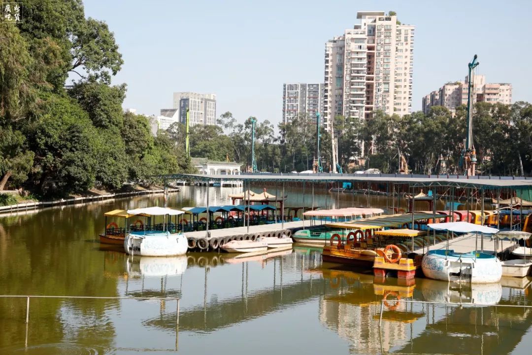 一道被员村人藏起来的 葱油淋水库鱼 让我哇塞了一整晚 旅游其他 什么值得买