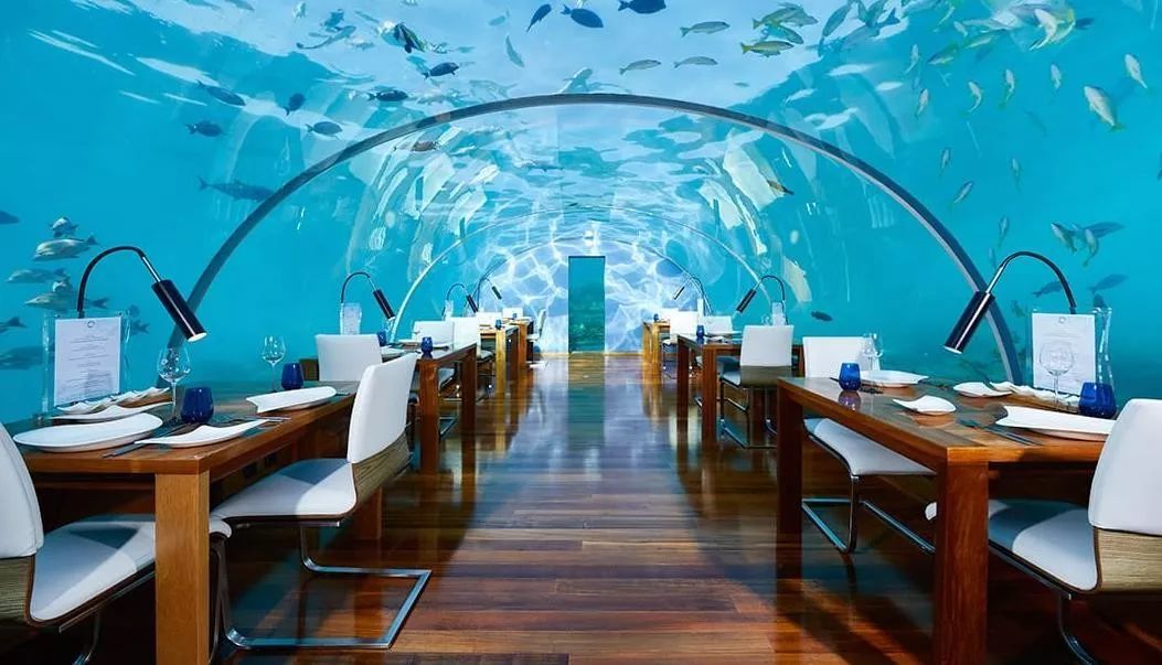 马尔代夫康莱德的水下客房，玻璃用18厘米厚，住一晚要 15 万