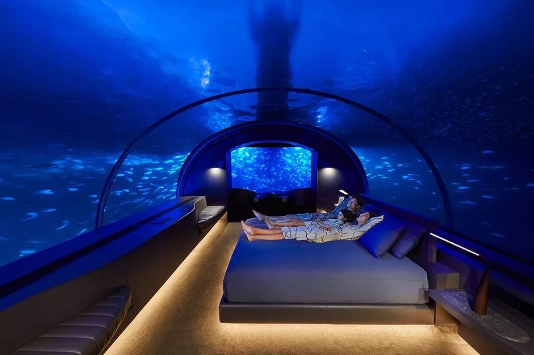 马尔代夫康莱德的水下客房，玻璃用18厘米厚，住一晚要 15 万