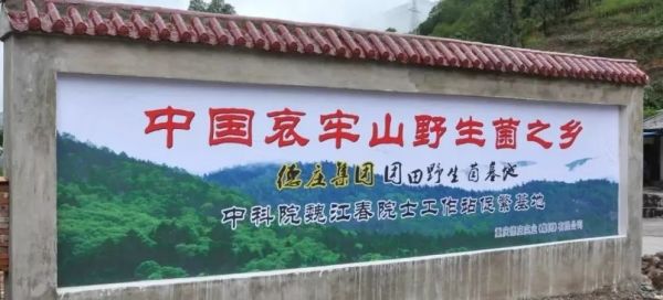 服务员是个机器人?!那个“喝汤品酒涮毛肚”的德庄火锅变了!