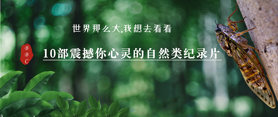 建议收藏！海信在售型号纯数据对比，12个应用，5篇榜单，选购到使用看这一篇就够了！