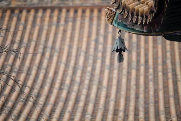 画质感人!L大三元长焦 松下70-200mm f/2.8评测
