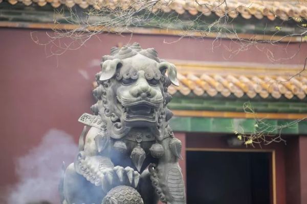 画质感人!L大三元长焦 松下70-200mm f/2.8评测