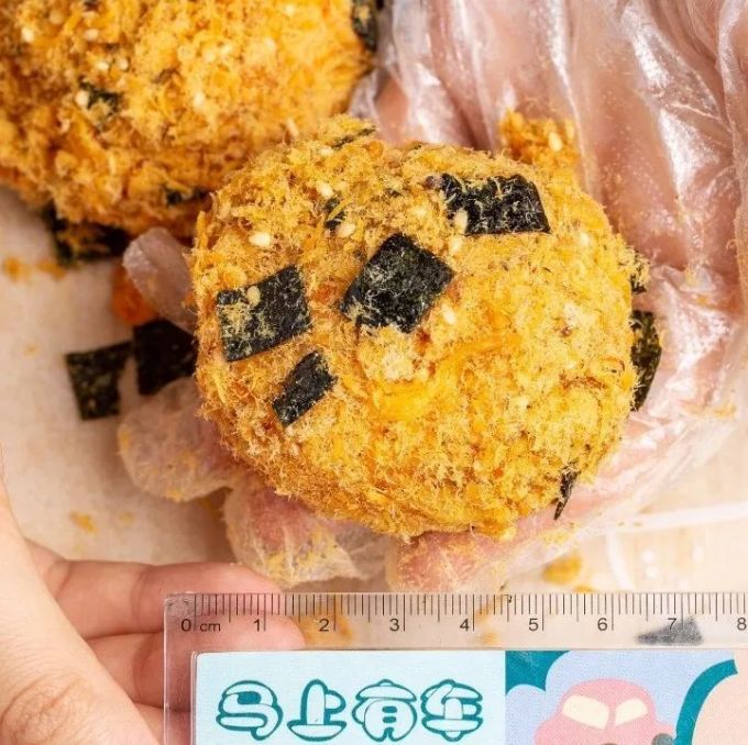 2019年肉松小贝等级考试答卷(广州)