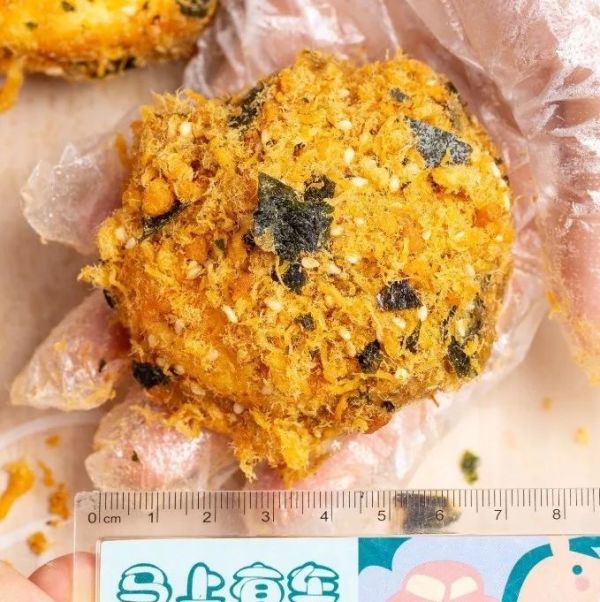 2019年肉松小贝等级考试答卷(广州)