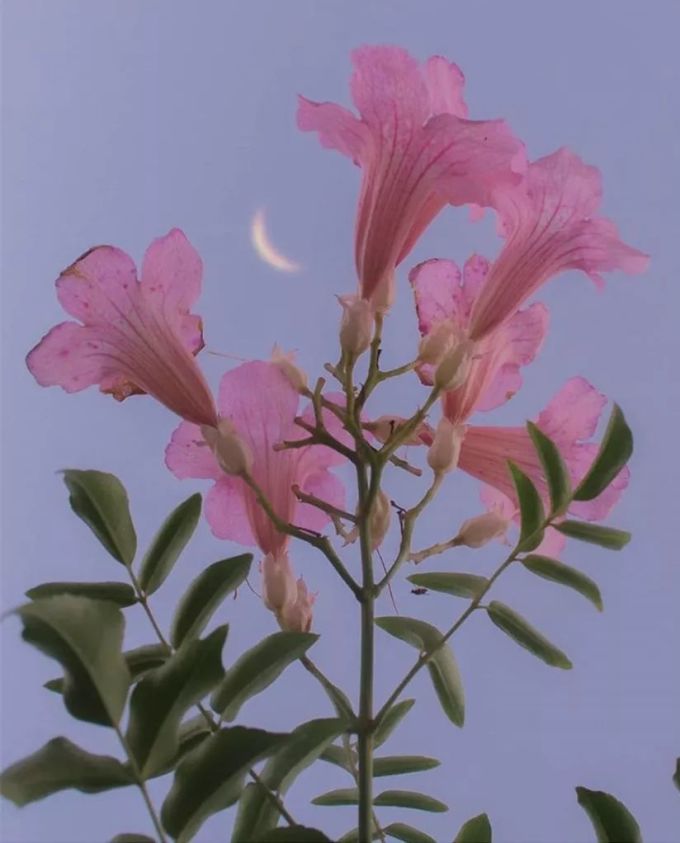 温柔才是拍照的第一要义!