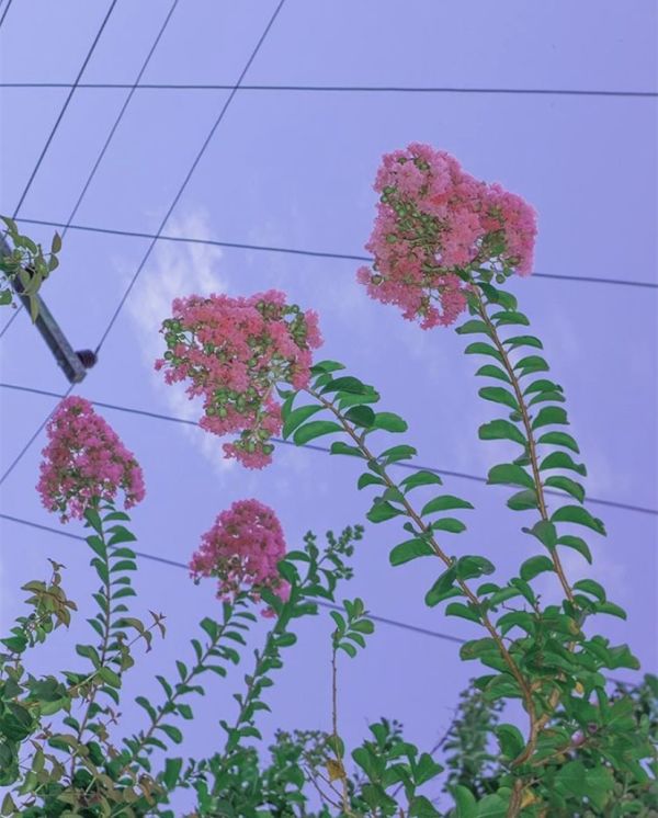 温柔才是拍照的第一要义!
