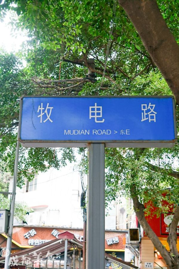 成都银杏最美的时候到了,真的不用再挤电子科大了!