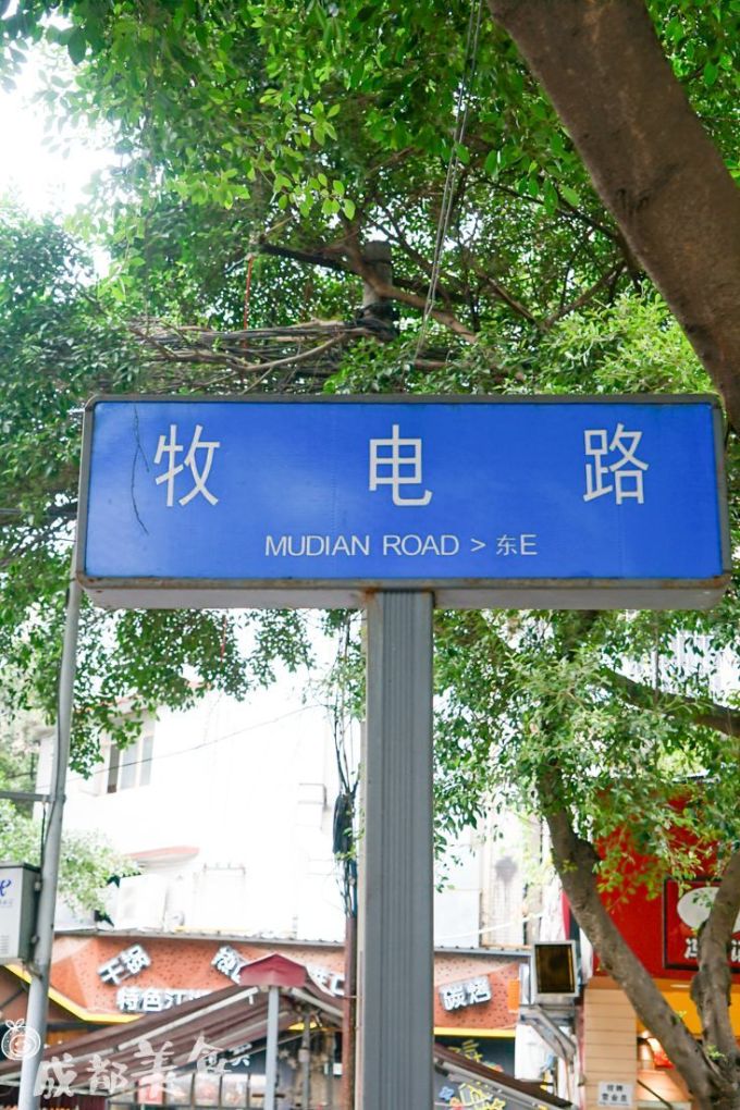 成都银杏最美的时候到了,真的不用再挤电子科大了!