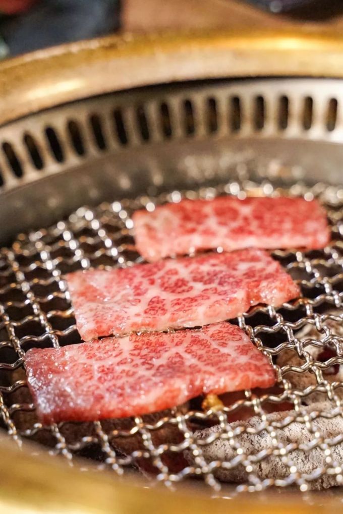 DSC05752.gif 宝安一间灵魂日式烧肉专门店!
