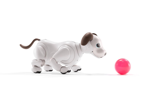 索尼AIBO机械狗迎重大更新，可喂食可训练感觉更像真狗了