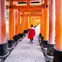 带娃游日本 篇三：陪你去京都
