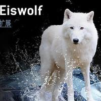 ALPHACOOL 阿尔法酷 将发布 Eiswold Aurora“北极狼”显卡水冷散热器