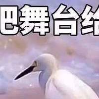 日本高性能镍氢电池大比拼