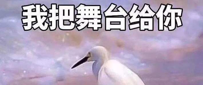 日本高性能镍氢电池大比拼