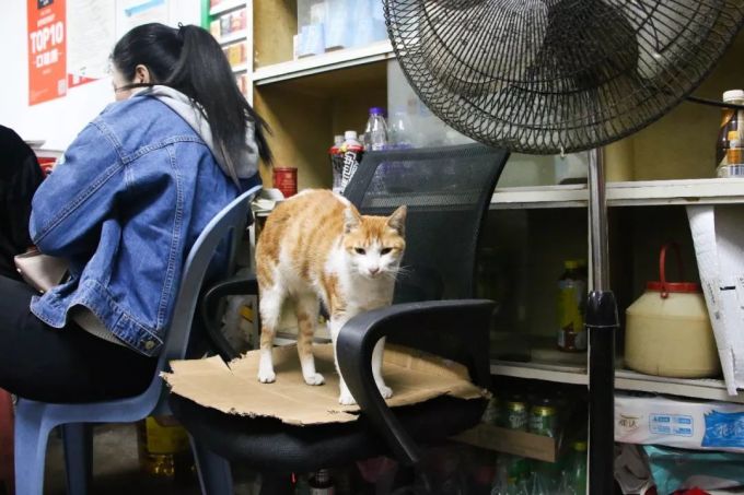 宝安人公认的「怪」店,一吃就是25年