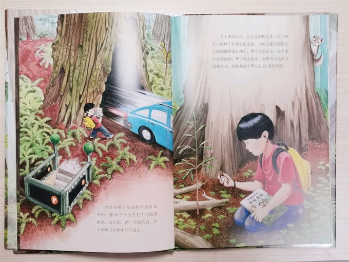 长江少年儿童出版社儿童绘画