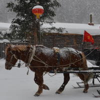 哈尔滨雪乡穿越，羊草山顶看日出