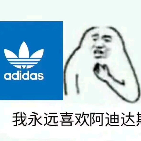 我永远喜欢阿迪达斯之双十二薅羊毛