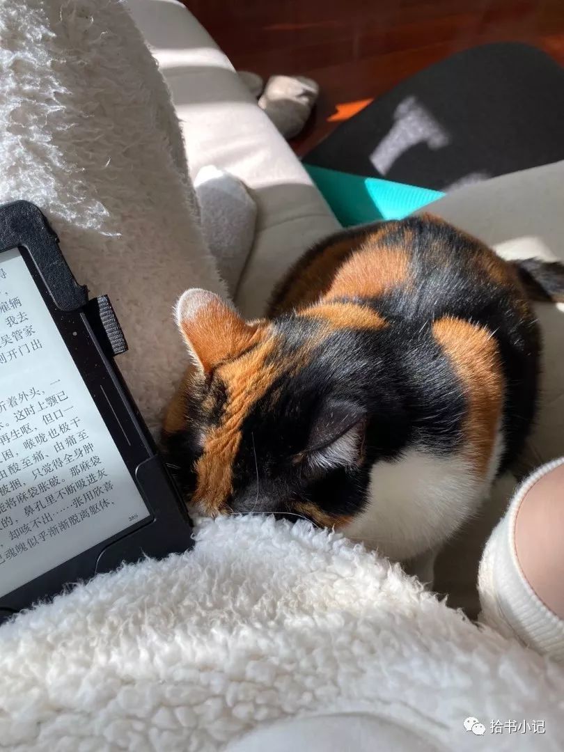 无可取代的 Kindle Voyage ｜ 我和 Kindle 的故事