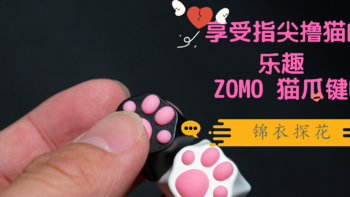 乱侃外设 篇二十二：享受指尖撸猫的乐趣，ZOMO ABS 猫爪键帽开箱