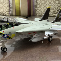 可能是全网首晒--4D Master F-14A JOLLY ROGER VF-84海盗旗中队