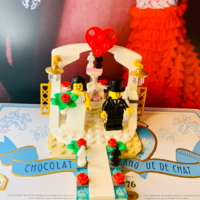 星的LEGO婚礼💒现场