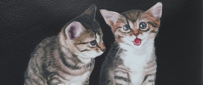  45款精选女士鞋服推荐，低至3折、E卡补贴、含税直邮当周到货，抓住年末德淘好机会|识衣间VOL.106